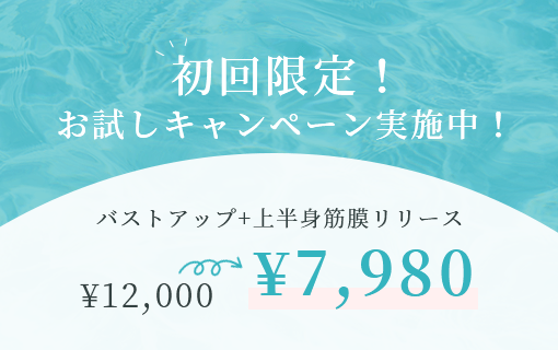 初回限定！お試しキャンペーン実施中！